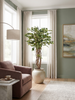 Emerald Kunstboom Ficus Liana 170cm