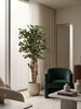 Emerald Kunstboom Ficus Liana 170cm