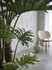 Emerald Kunstplant Philodendron Selloum 180cm
