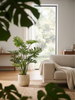 Emerald Kunstplant Philodendron Selloum 180cm