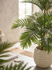 Emerald Kunstplant Phoenix Palm 180cm