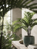 Emerald Kunstplant Phoenix Palm 180cm