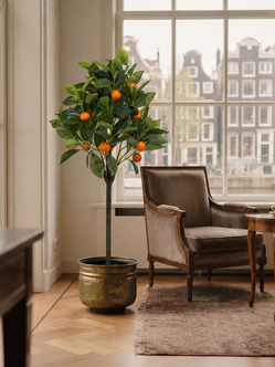Emerald Kunstboom sinaasappel 75cm