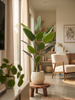 Emerald Kunstplant Strelitzia 230cm