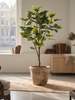Emerald Kunstboom Vijgenboom 95cm