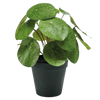 Small artificial plants