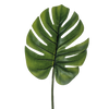Artificial leaves