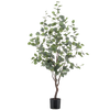 Kunst Eucalyptus