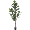 Artificial Ficus