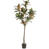 Kunst Magnolia