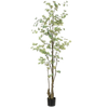 Kunst Tropaeolum