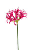 Emerald Kunstbloem Nerine fuchsia 75cm